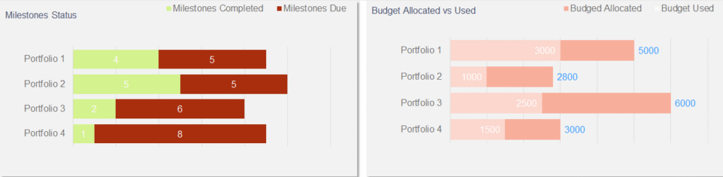 project portfolio 
